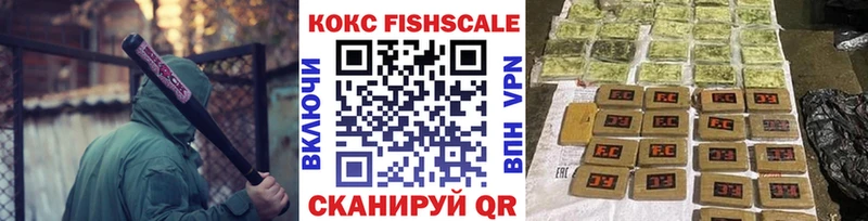 Cocaine FishScale  купить наркотик  Дятьково 