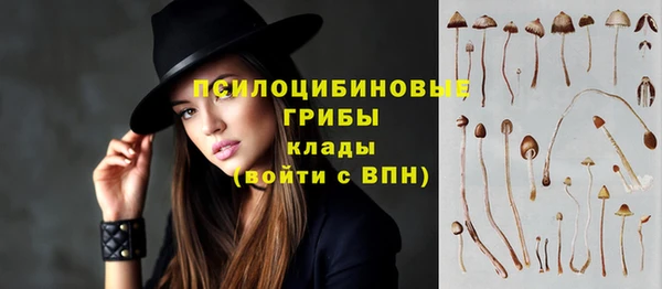 гидра Дмитровск