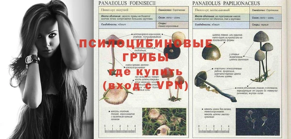 ECSTASY Гусиноозёрск