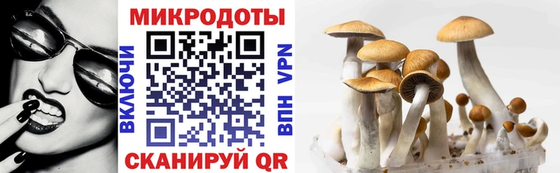 Псилоцибиновые грибы прущие грибы  Дятьково 